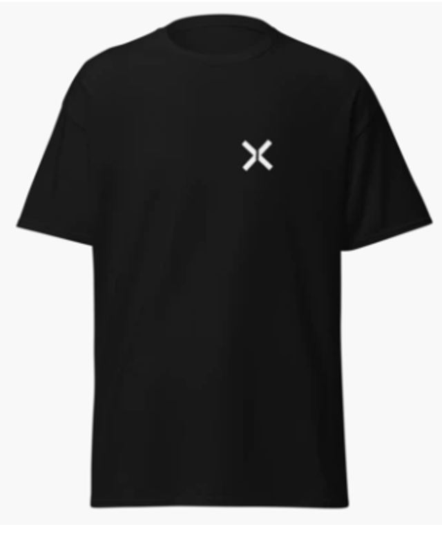 CAMISETA UNISEX - SPIRIT BASIC