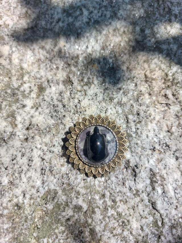 Broche tortue noire