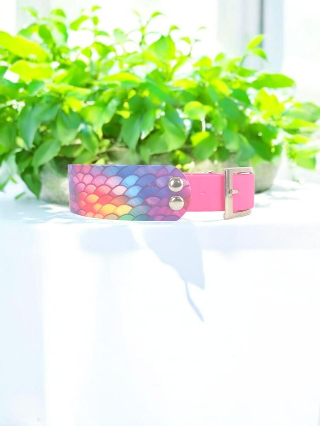 Collier pour chien en BioThane® Original USA. Sirène / Rose Néon