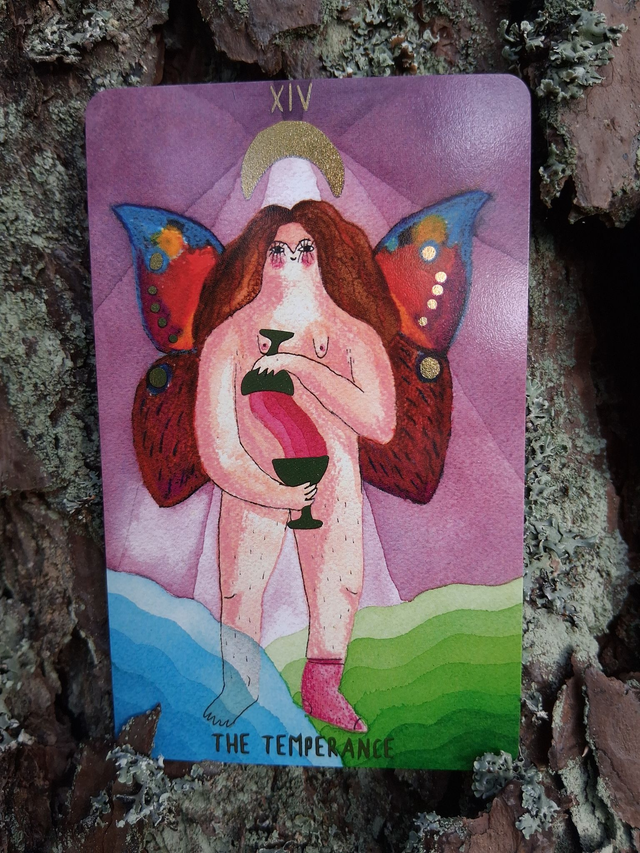 Self Love Tarot: a body-positive Tarot deck * by Hanna Tricoire