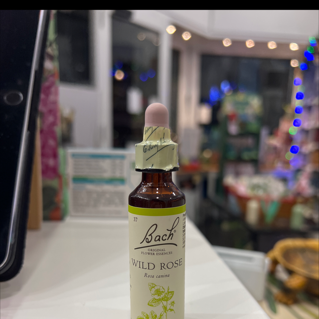 Fiori di bach 37 Wild Rose