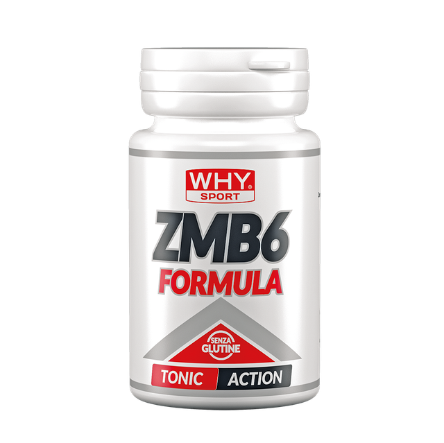 ZMB6