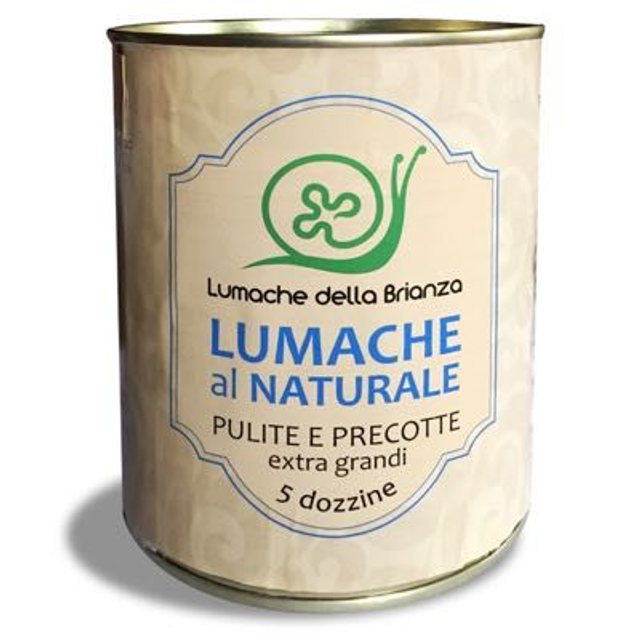 Lumache extra grandi al naturale in latta