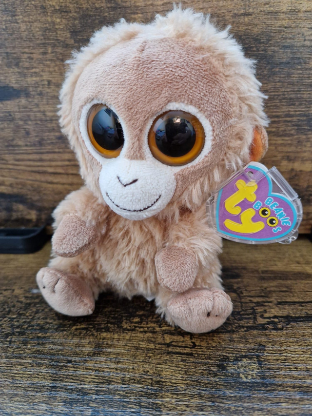 Tangerine Beanie Boo 