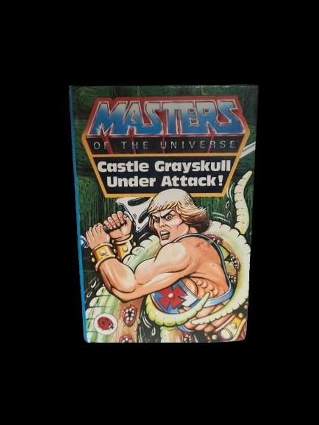 MOTU Castle Grayskull Under Attack Ladybird Book