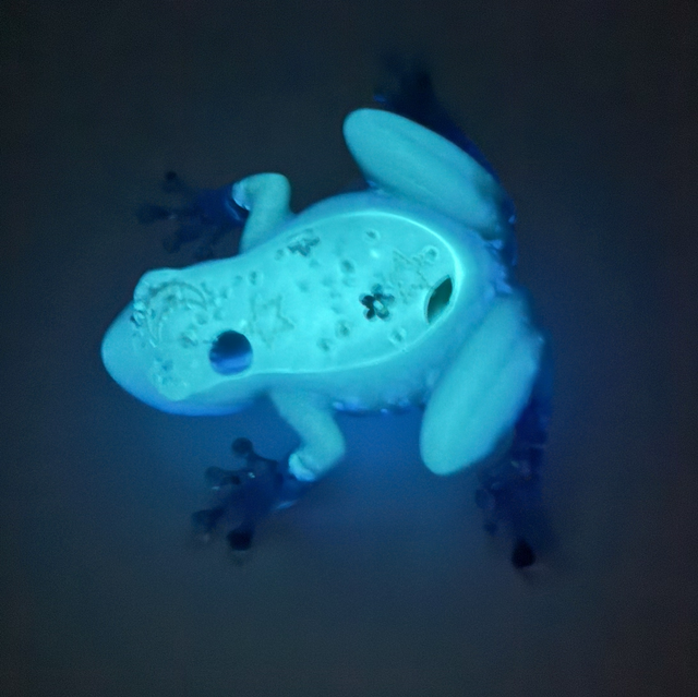 Grenouille Ciel d’Eté Phosphorescente