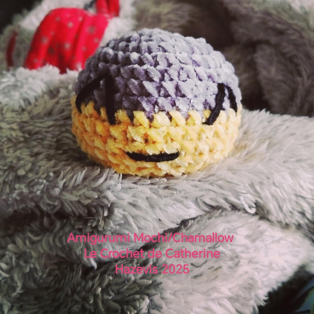 2025 Chamallow/Mochi bi color Amigurumi 