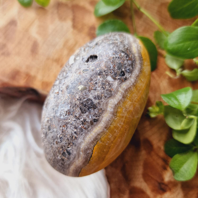 Bumblebee Jasper Palm 