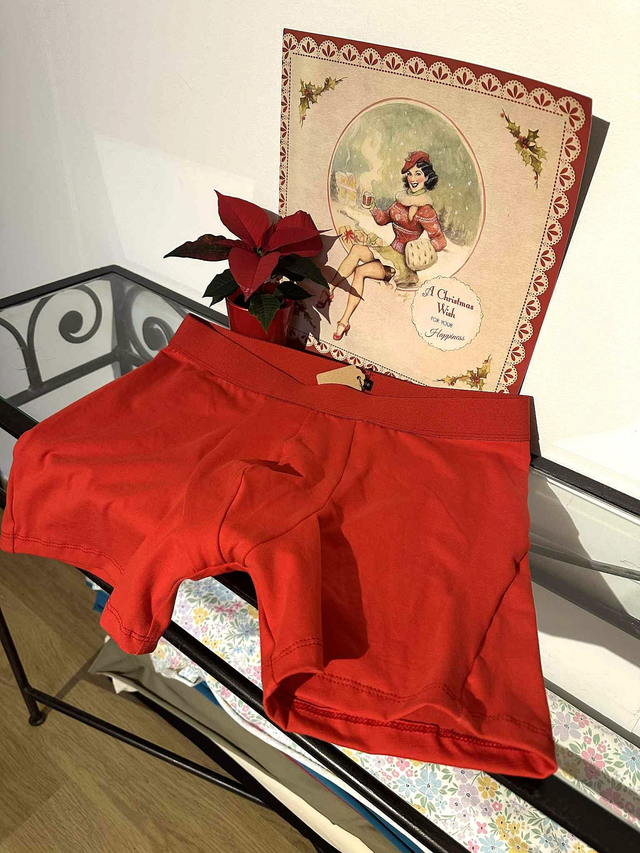 Pack sous-vêtements brodés Noël couple