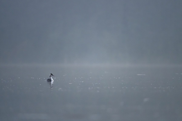 Solitude hivernale III