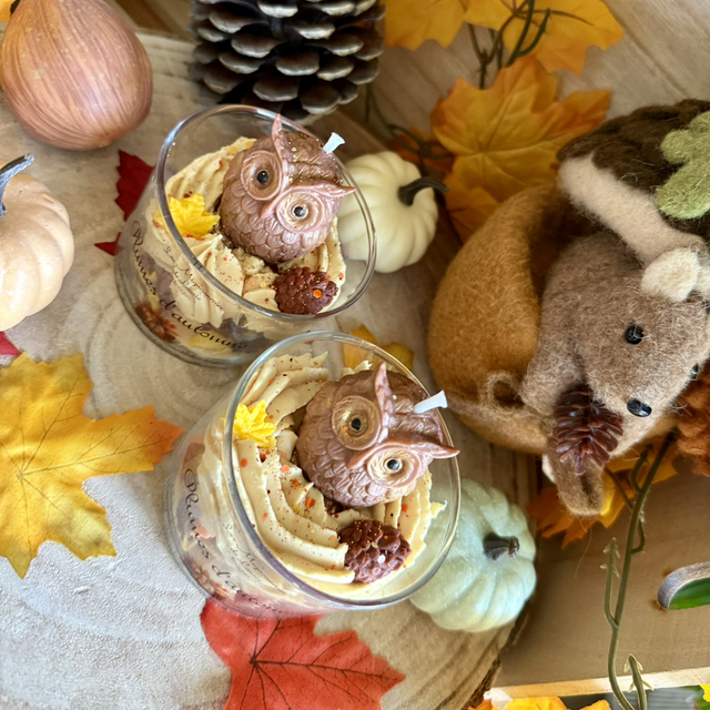 Bougie Plumes d’Automne