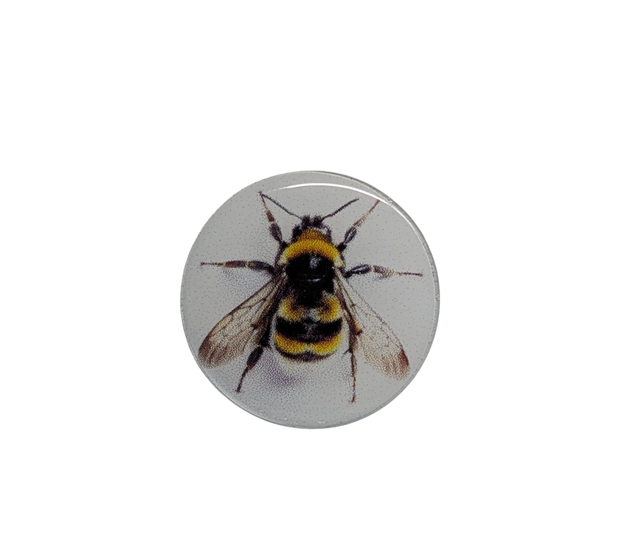 Bee Cap Clip