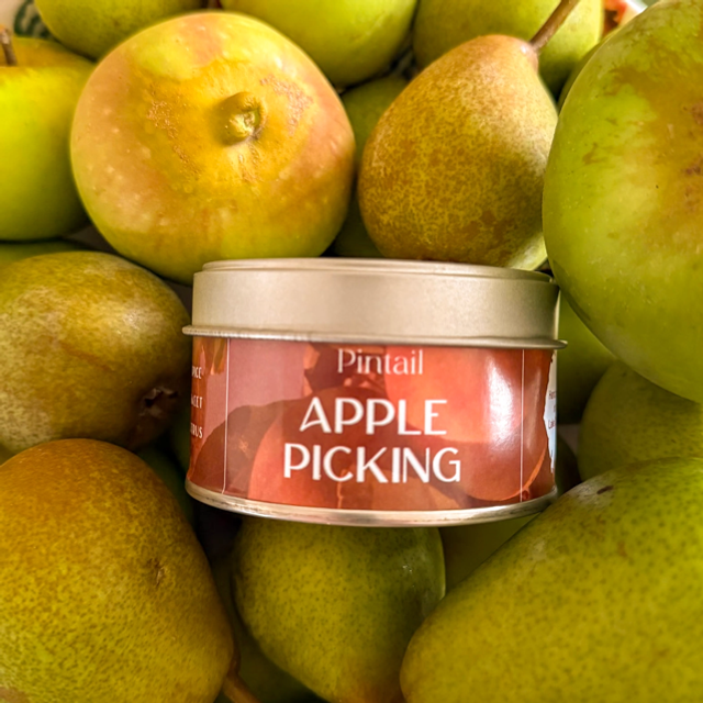 Pintail Candle - Apple Picking
