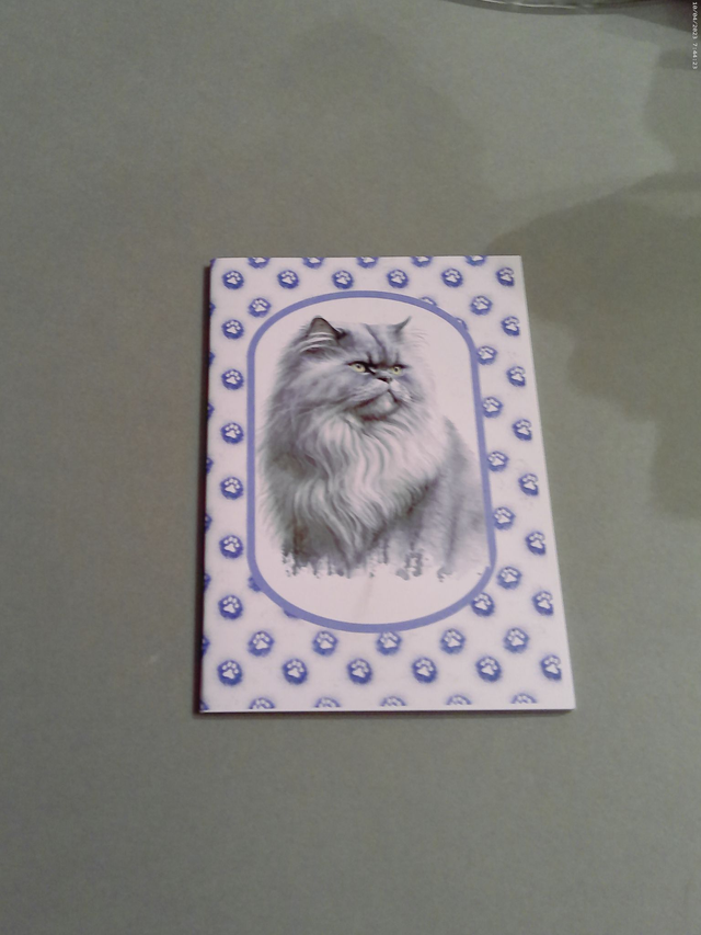 Carnet de note Persan