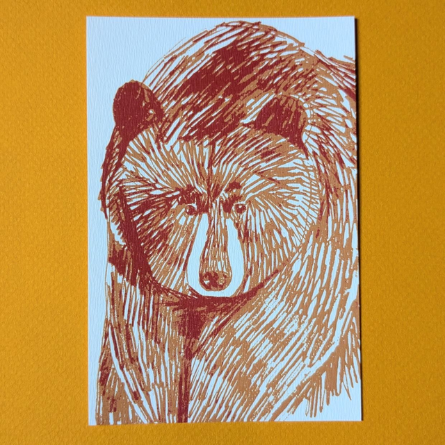 Ours brun