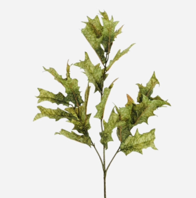 Dried Touch Winter Fall Branch