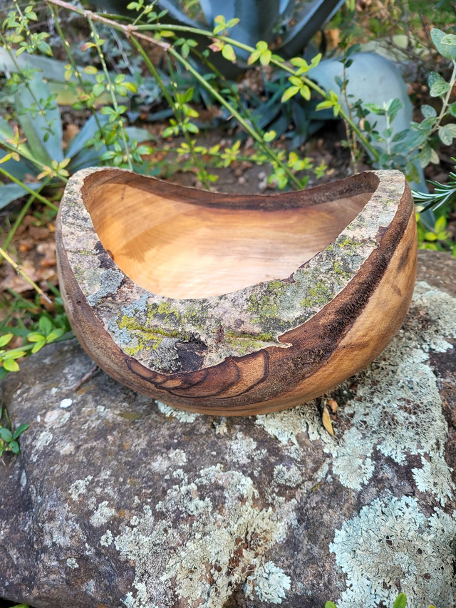 Coupe en noyer avec ecorce