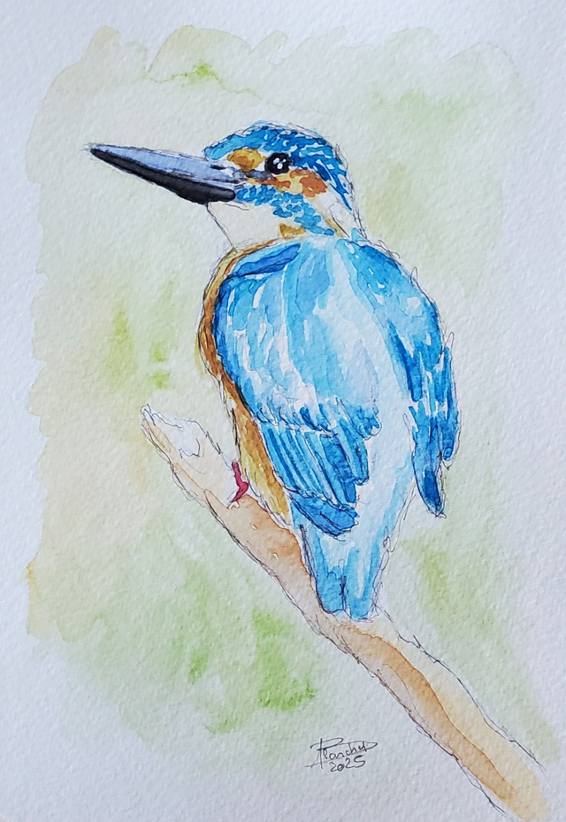 [1902] Martin-pêcheur