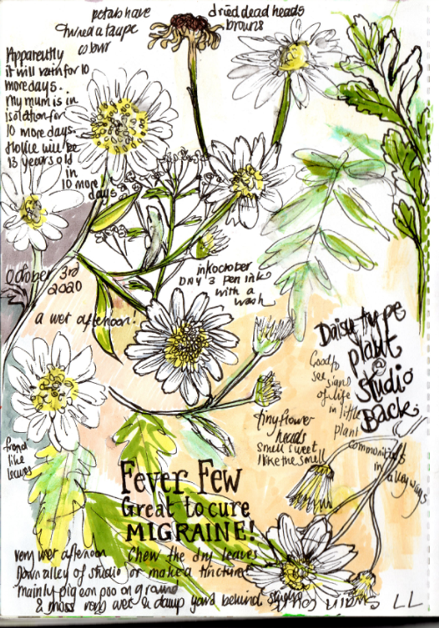 100%organic cotton beautiful Tea Towel