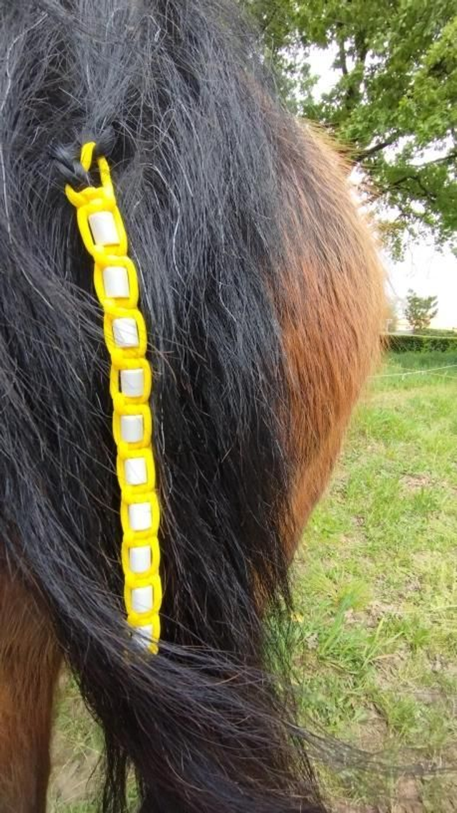 Perles EM-X contre les tiques pour chevaux