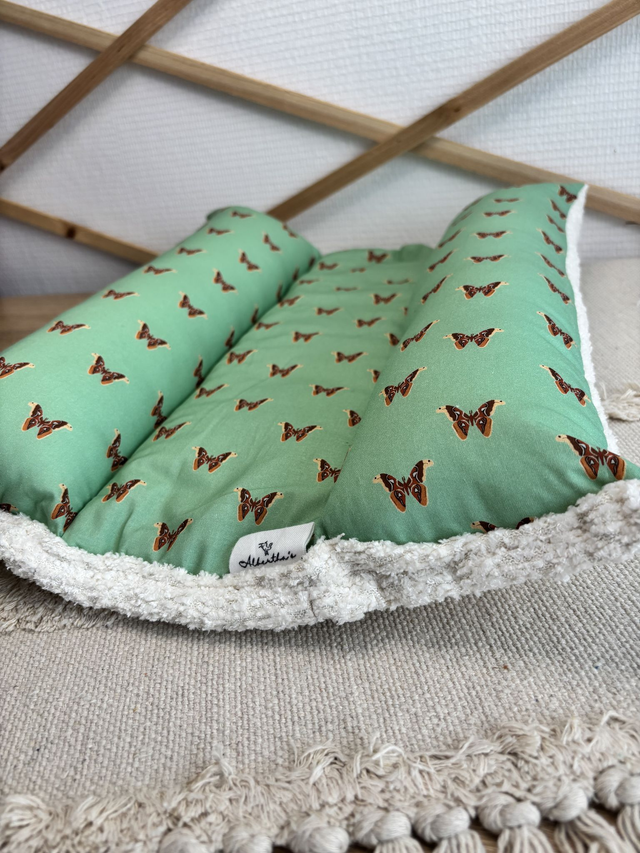 Snugabun Albertha's "Attacus atlas"
