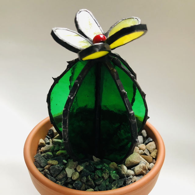 Cactus with flower in pot