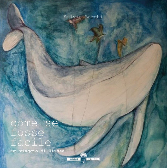 COME SE FOSSE FACILE di Silvia Larghi