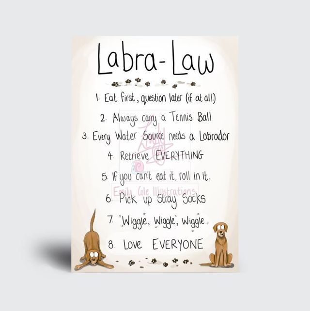 "Labra-Law" Greeting Card
