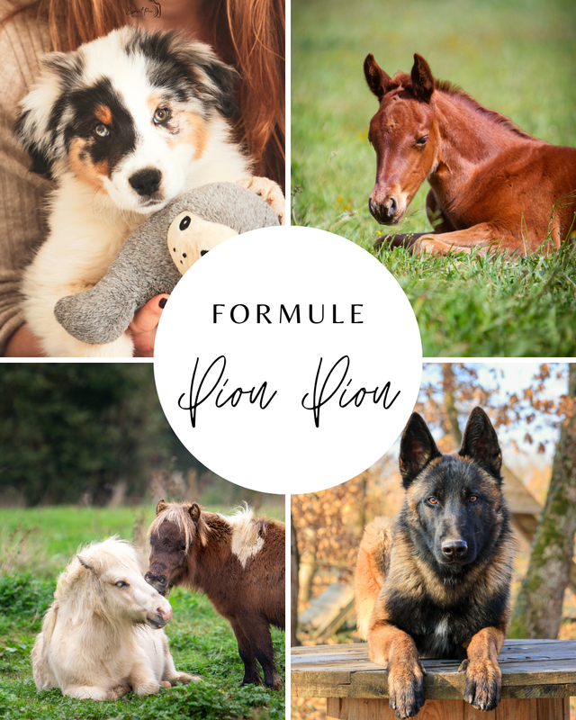 Formule Piou Piou
