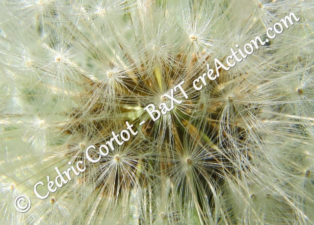 Carte postale - Paysages et divers (Ref IMG_8868)