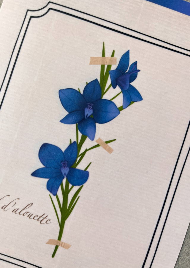 Affiche 07. Le Pied d'alouette (juillet)