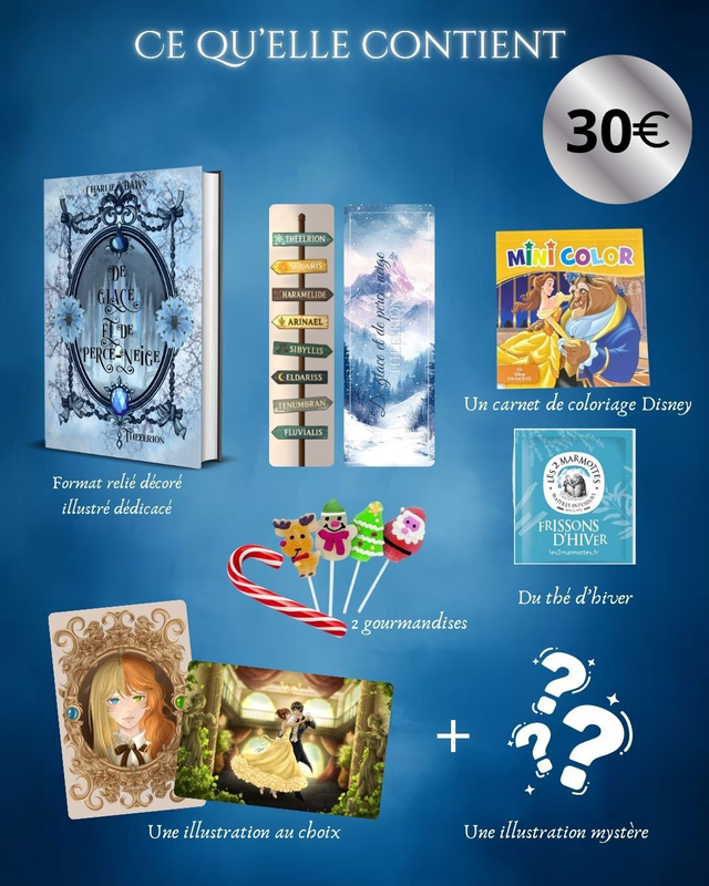 Box de noël Theelrion relié