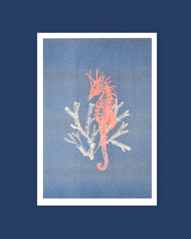 Affichette A4 Abysses - hippocampe -