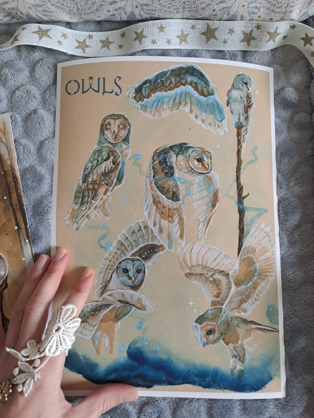 Magic Owls