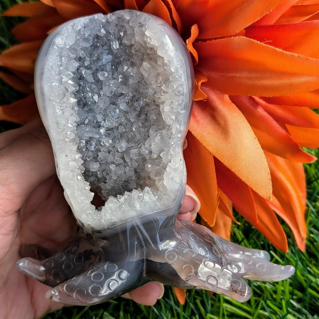 Druzy Agate Octopus