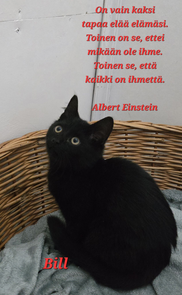 On vain kaksi tapaa elää- digitaalinen kortti