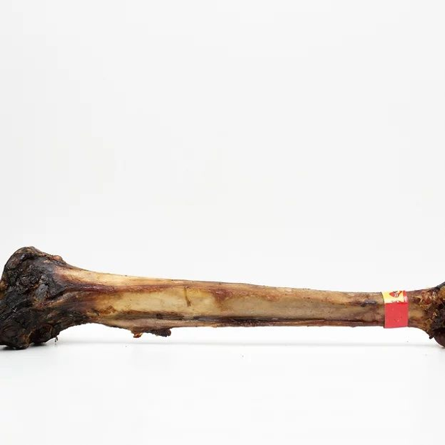 Ostrich Caveman Bone (over 800g, over 50cm, smoked)