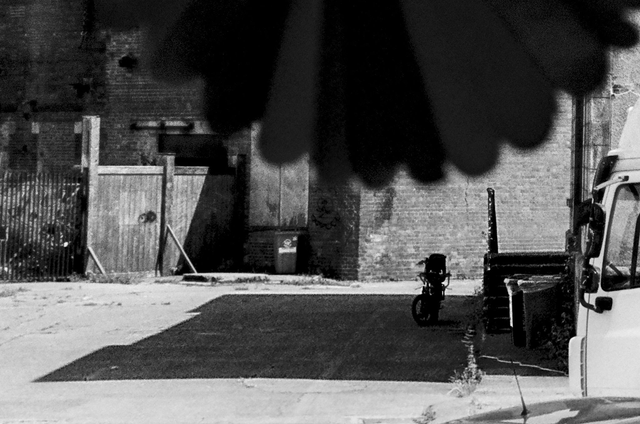 Scooter in the Shadow