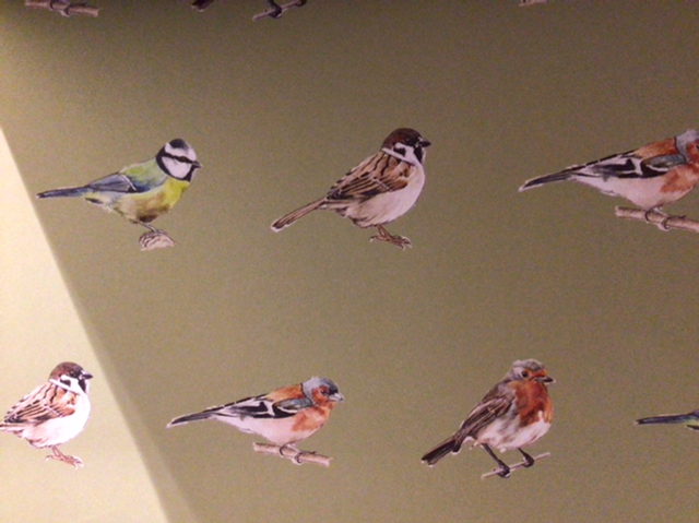 Gift Wrap Rewrapped Garden Birds