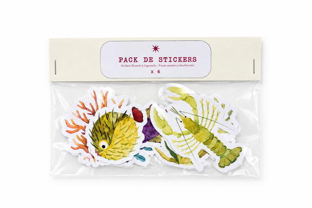 Pack de stickers x6 
