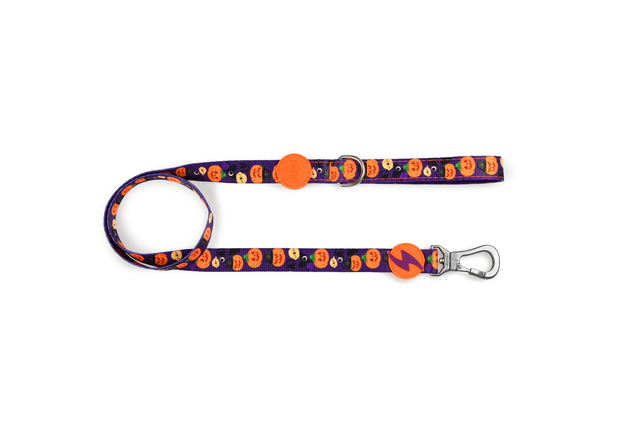 Pumpkin Leash