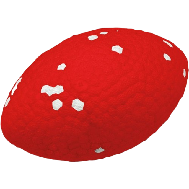 Ballon de rugby Ultra Strong taille 10x6cm et 12,5x7,5cm