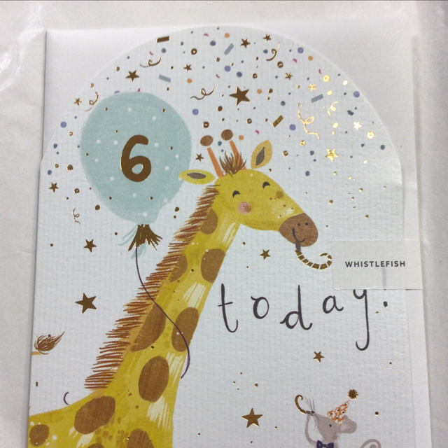 Birthday Age 6th (Giraffe and Balloon) WF