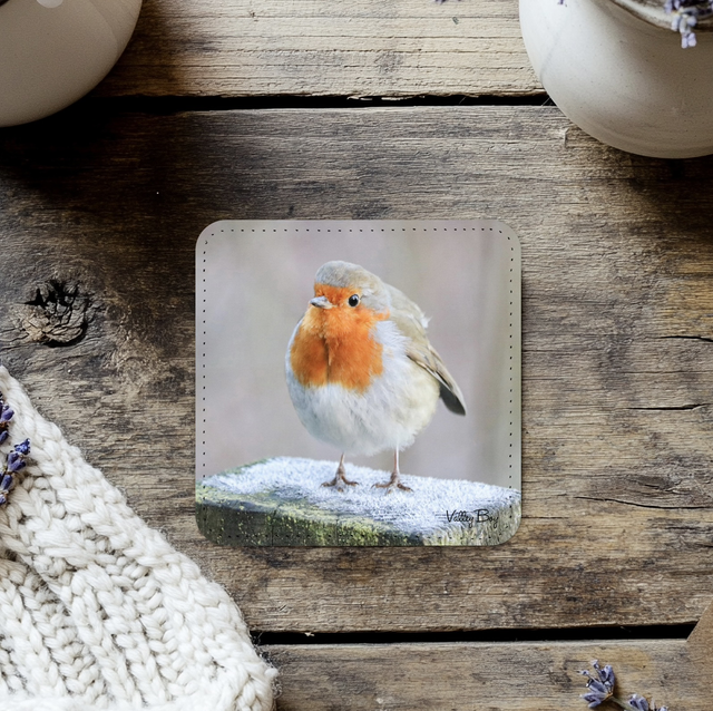 “Frosty Toes” Coaster 