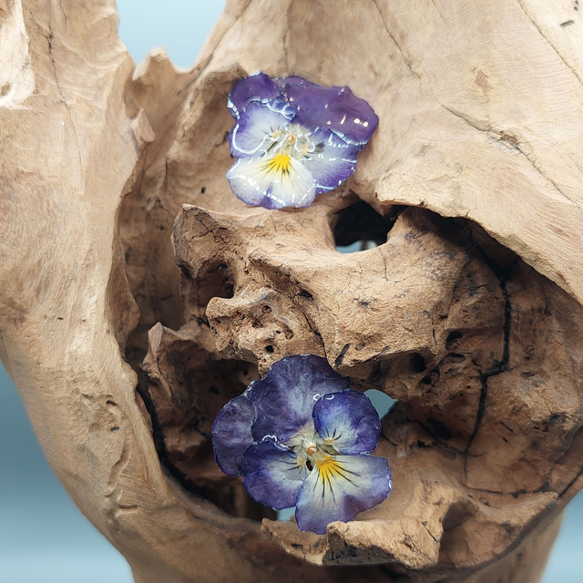 Boucles d’oreilles Pensées – Bijoux floraux faits main en résine brillante