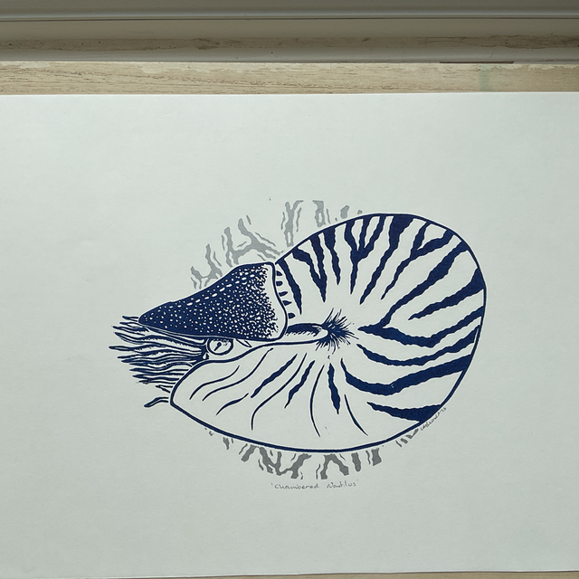 Chambered Nautilus 2 block Lino print