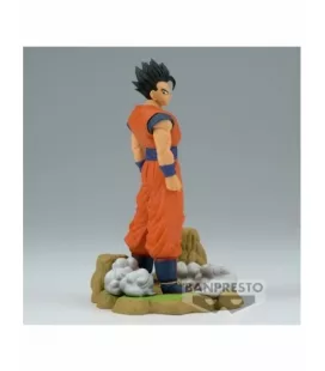 Son Gohan (Clearise) 