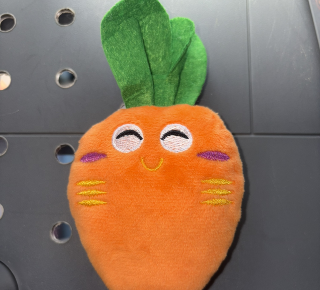 SECONDS Carrot Toy