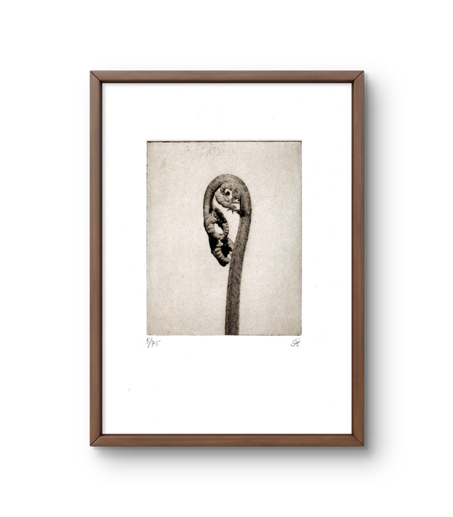 Fern  03 handprint photogravure  13x18