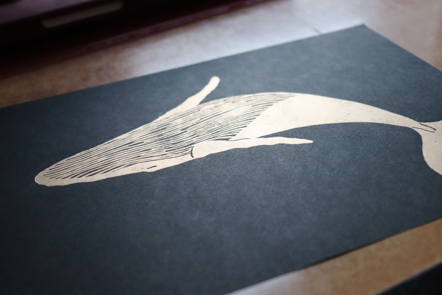 Linogravure A5 Baleine (5 coloris)